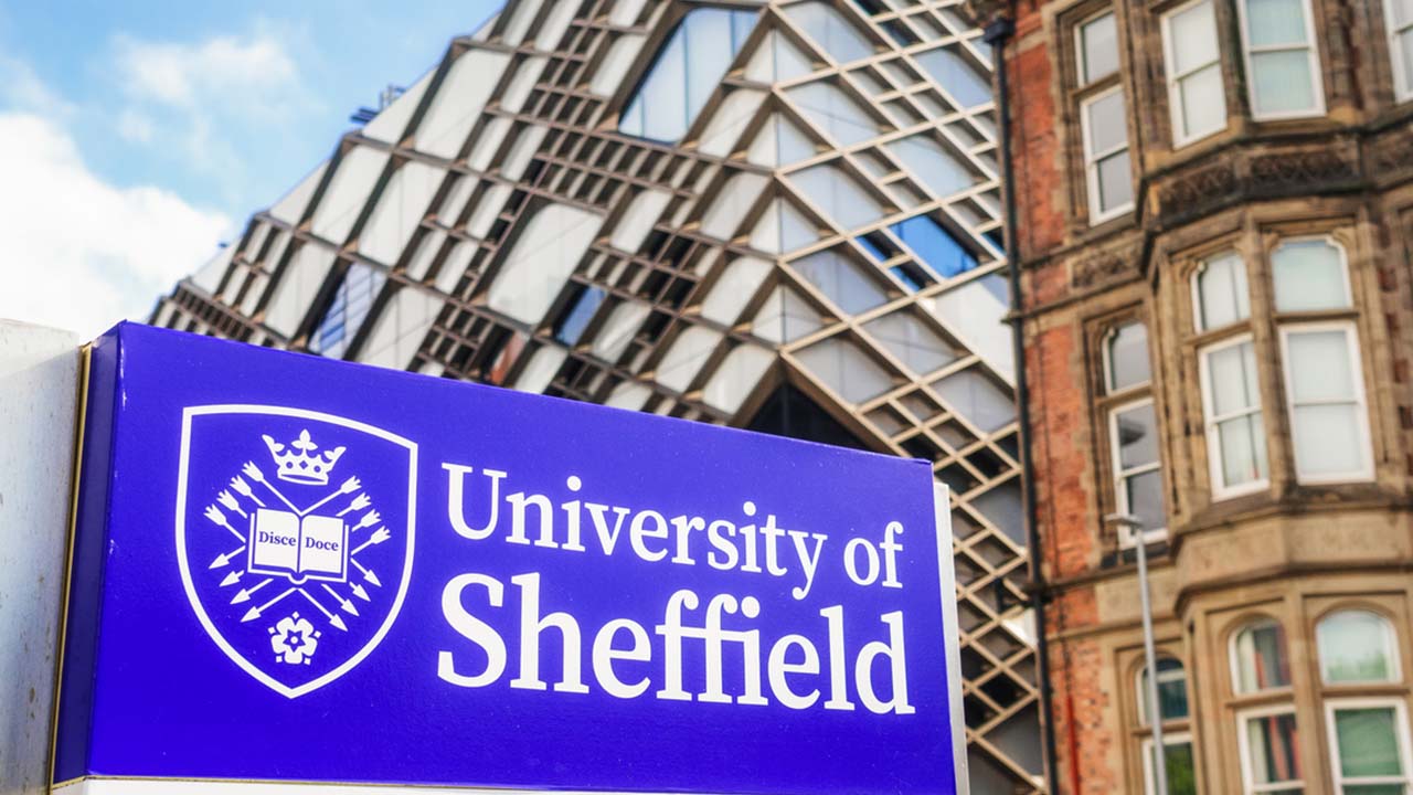 univeristy-of-sheffield-summary