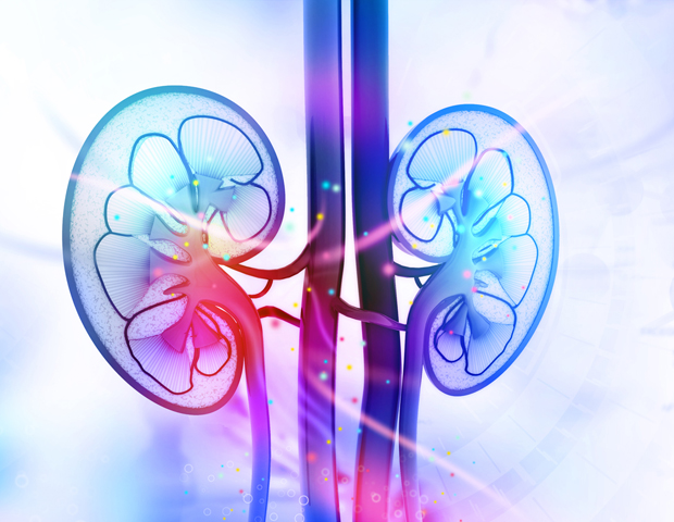 kidney_graphic.jpg